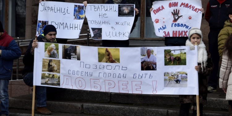 «За цирк без тварин»: в Николаеве зоозащитники присоединились к всеукраинской акции