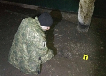 В Николаевской области во двор дома бросили гранату