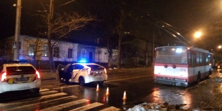 В Николаеве на Большой Морской на дорогу упало дерево. Движение перекрыто