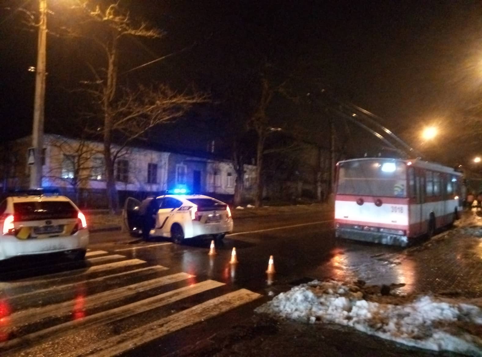 В Николаеве на Большой Морской на дорогу упало дерево. Движение перекрыто