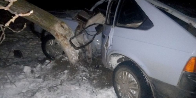 Кювет, дерево. Ночное ДТП в Витовском районе