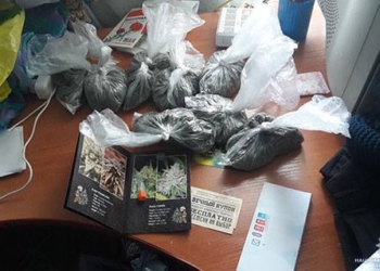В Николаевской области обезвредили разветвленную наркосеть. Ее организатор озолотился на марихуане