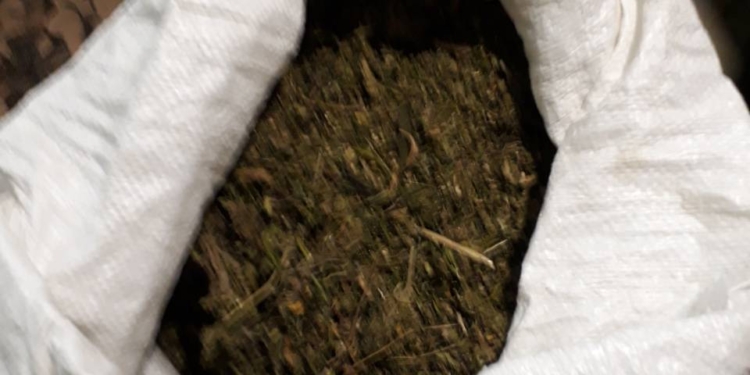 В Баштанке на Николаевщине обнаружили 25 кг конопли. А еще холодное и огнестрельное оружие и боеприпасы