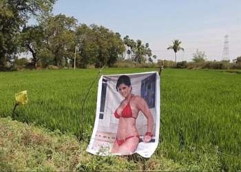 Фото порно-звезды в купальнике, оказывается, спасает от сглаза. Индийский фермер это доказал