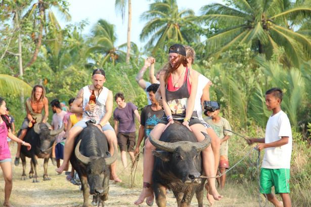 Скандал с туристами на Филиппинах: они катались голыми на священных буйволах, теперь полиция готова их арестовать 1