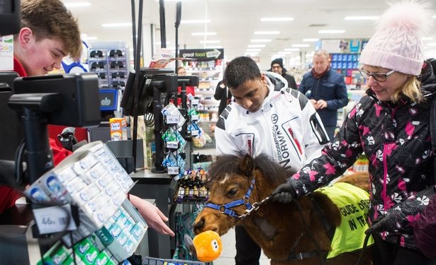 У нас такую ситуацию трудно представить: англичанин со своим конем-поводырем прошелся по улицам и магазинам Британии