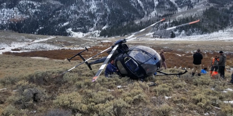 В США вертолет столкнулся с лосем