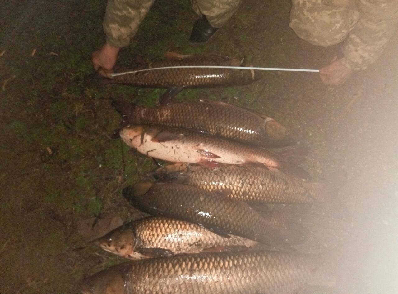 Петеплело, и на реку вышли браконьеры. Николаевский рыбоохранный патруль поймал двоих, наловивших сетями рыбы на 13 тыс.грн.