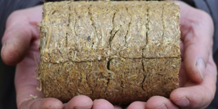 Николаевский предприниматель раздал бесплатно 20 тонн брикетов для популяризации альтернативного топлива