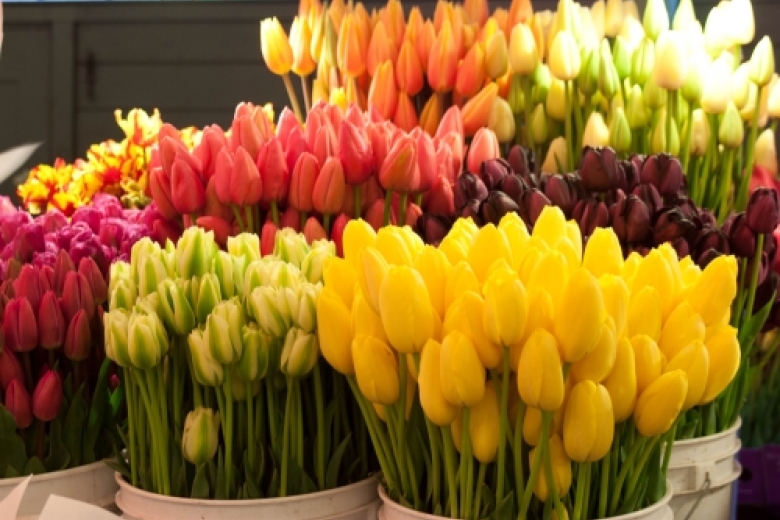 Украинки хотели бы получить в подарок на 8 марта цветы и романтические путешествия — опрос