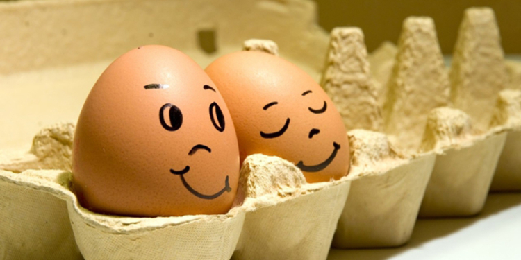 На Николаевщине Первомайское гороно купило  яйца на 35% дороже рынка – зато у постоянного поставщика