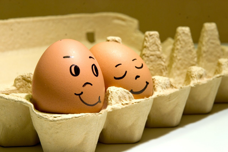На Николаевщине Первомайское гороно купило яйца на 35% дороже рынка - зато у постоянного поставщика 1