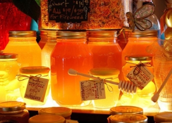 Мед из подсолнечника готовы покупать в Индонезии. Дорого