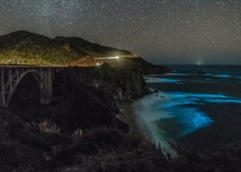 В Калифорнии начал светиться океан