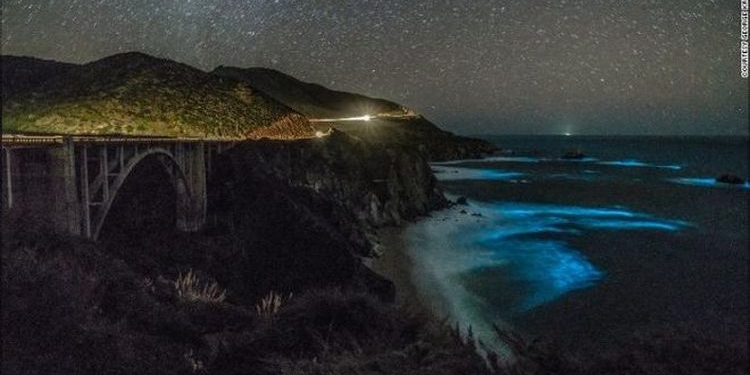 В Калифорнии начал светиться океан