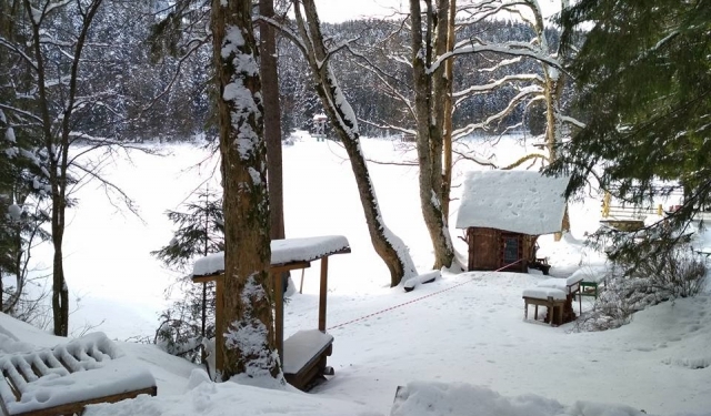 На Синевире уже построили дом для съемки последней киноленты в карьере Жана Рено