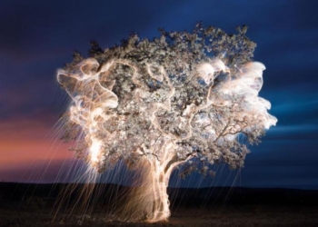 Деревья вместо фонарей? Это возможно и уже работает