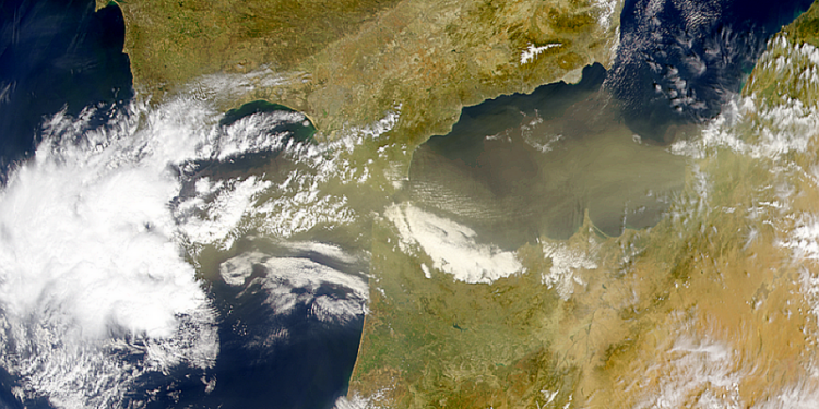 Канадские ученые зафиксировали дождь из вирусов