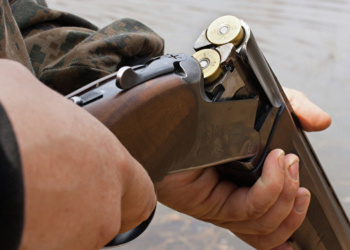 Суд амнистировал жителя Николаевщины, застрелившего соседа во время ссоры из-за собаки