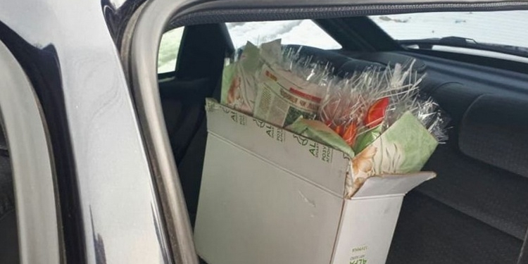 Преступление дня: двое мужчин, угрожая пистолетом, отобрали у торговца ящик цветов