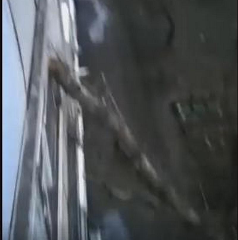 В Николаеве рухнувшее сухое дерево повредило стекла окон и балконы 1