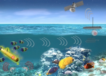 Это не шутка. Рыбы и моллюски станут разведчиками США