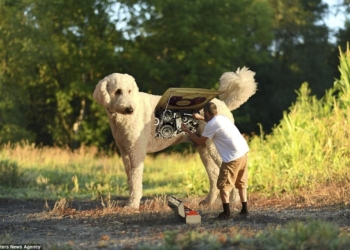 Американец стал хитом Instagram после того, как он превратил свою собаку в семифутового гиганта в серии странных фотографий, снятых в Photoshop