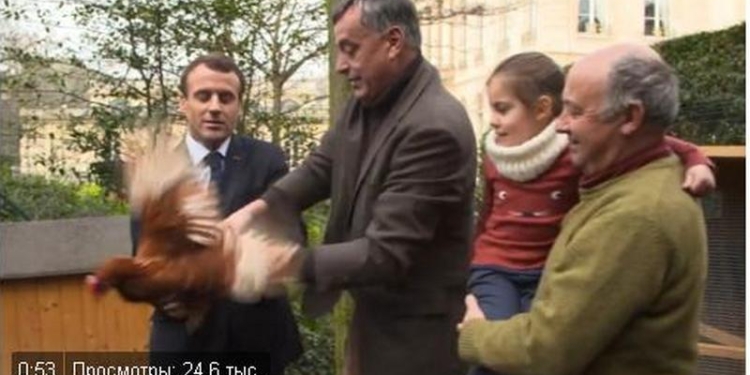 «Это Агата, новая звезда Елисейского дворца»: президенту Франции подарили курицу