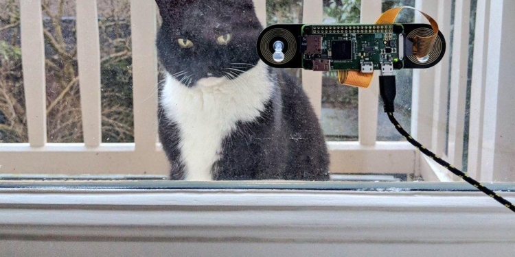 Программист придумал устройство для распознавания котов по мордам