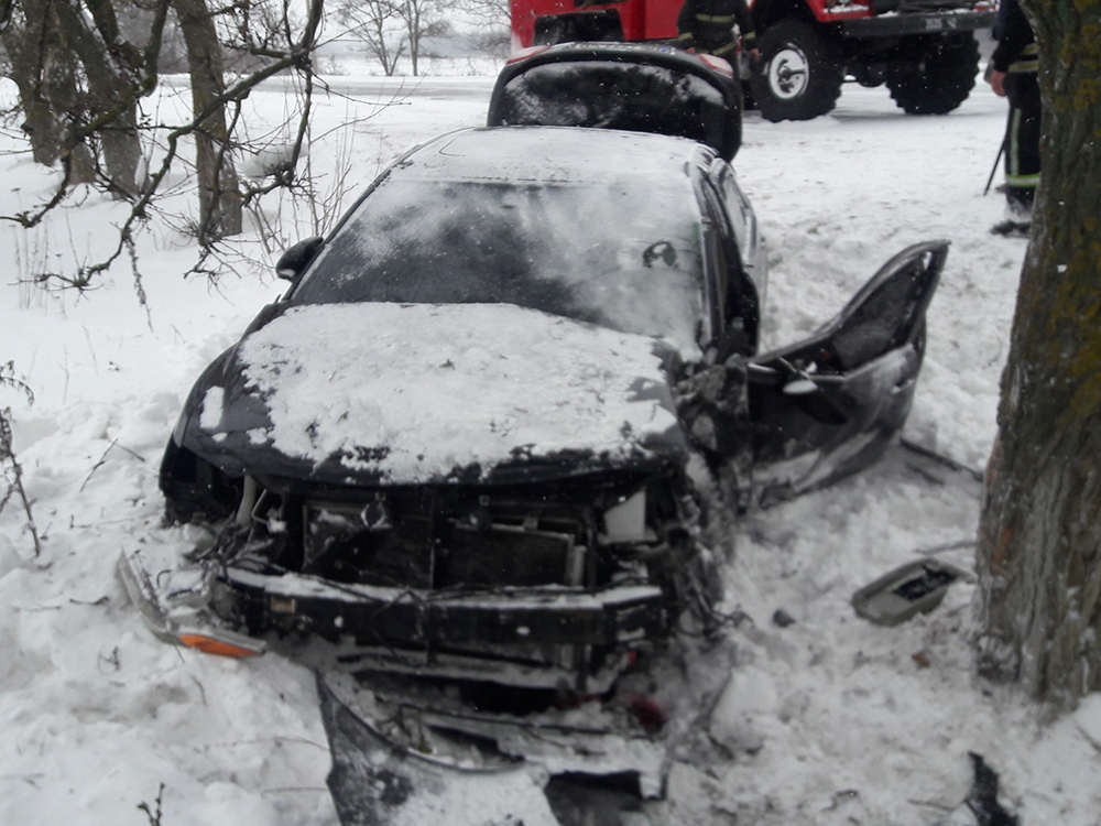 Возле Надбугского в дерево влетела Toyota Camry – водителя и пассажира из покореженного авто доставали николаевские спасатели 4