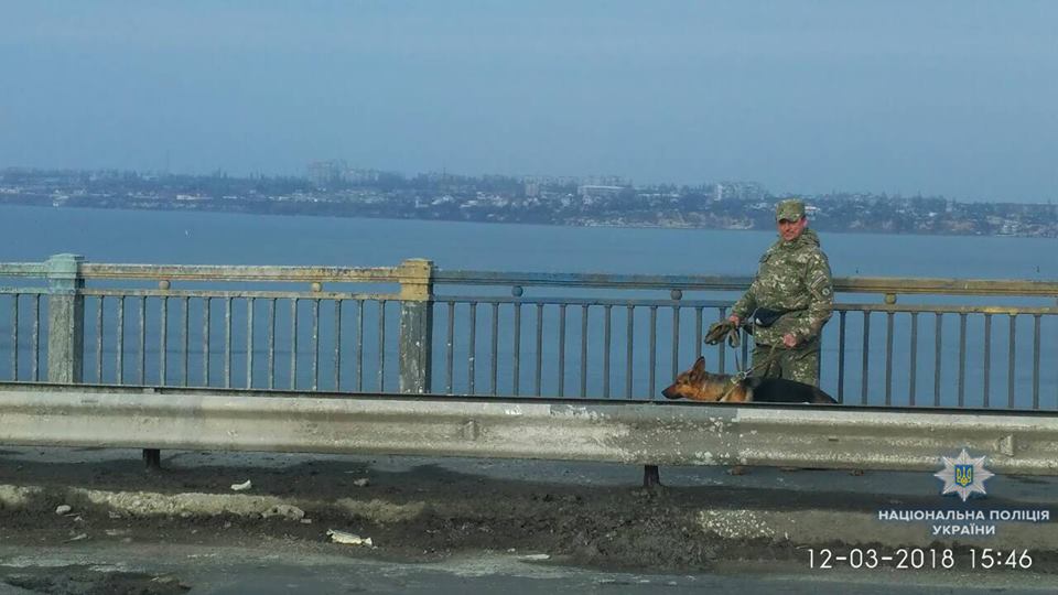 Проверяли и собаки, и взрывотехники - сообщение о заминировании Варваровского моста в Николаеве оказалось ложным 3