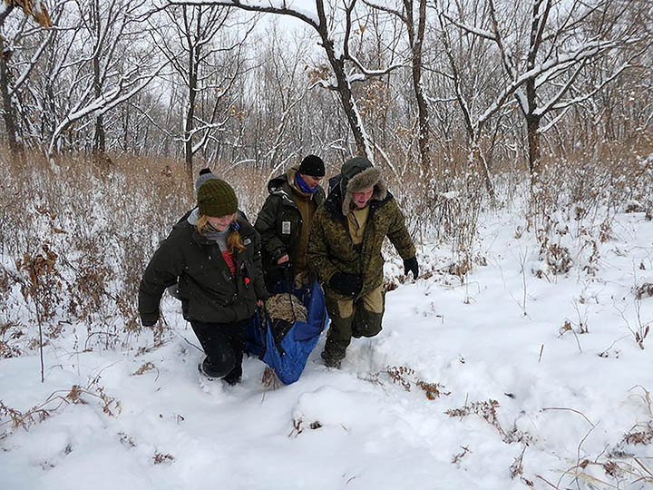 На Дальнем Востоке России тигрица, которая терроризировала жителей деревни, поедая охранных собак, отправлена на «перевоспитание» 6