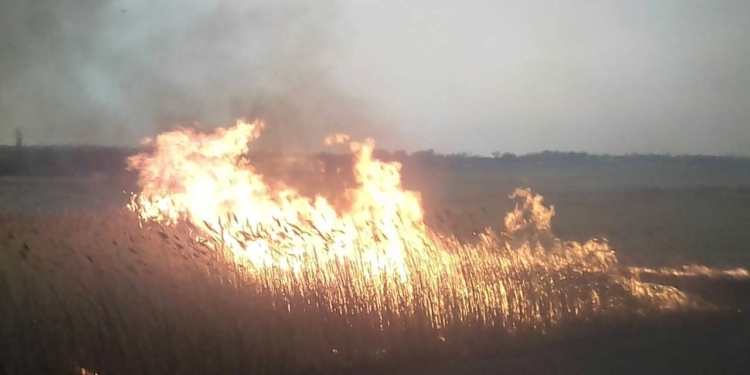 Горит гектарами. За сутки спасатели Николаевщины трижды тушили пожары камыша и сухой травы на открытых территориях