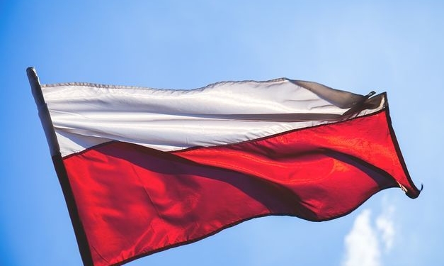 В Польше хотят создать госагентство по делам украинских мигрантов