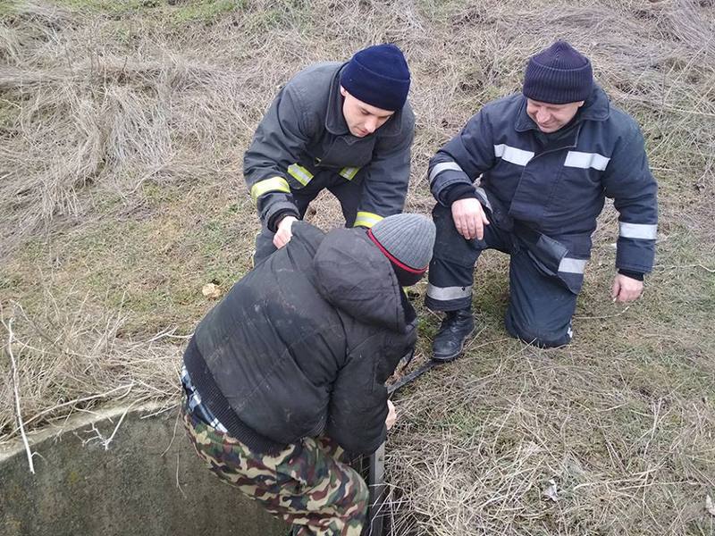 На Николаевщине парень пытался спасти собаку, упавшую в колодец, и свалился сам 3