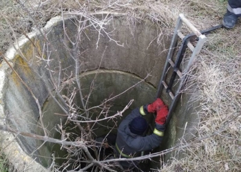 На Николаевщине парень пытался спасти собаку, упавшую в колодец, и свалился сам