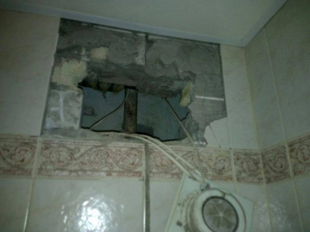 В киевской многоэтажке ловили енота - сбежал в вентиляционный канал 5