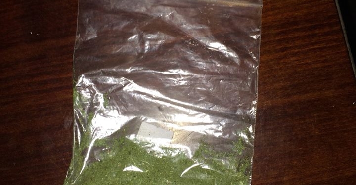 Интересно, какой высоты был этот куст конопли? Житель Первомайска уверял полицейских, что листья с одного-единственного куста он высушил, курил полгода, еще и другим продавал