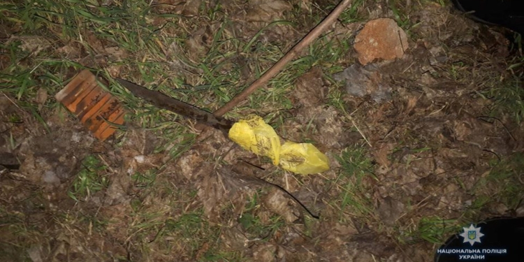 В Николаеве женщина убила сожителя ударом ножа в сердце