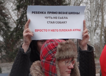 За город без укушенных. В Николаеве пострадавшие от укусов бездомных собак требовали гарантий безопасности