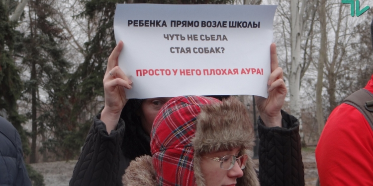 За город без укушенных. В Николаеве пострадавшие от укусов бездомных собак требовали гарантий безопасности