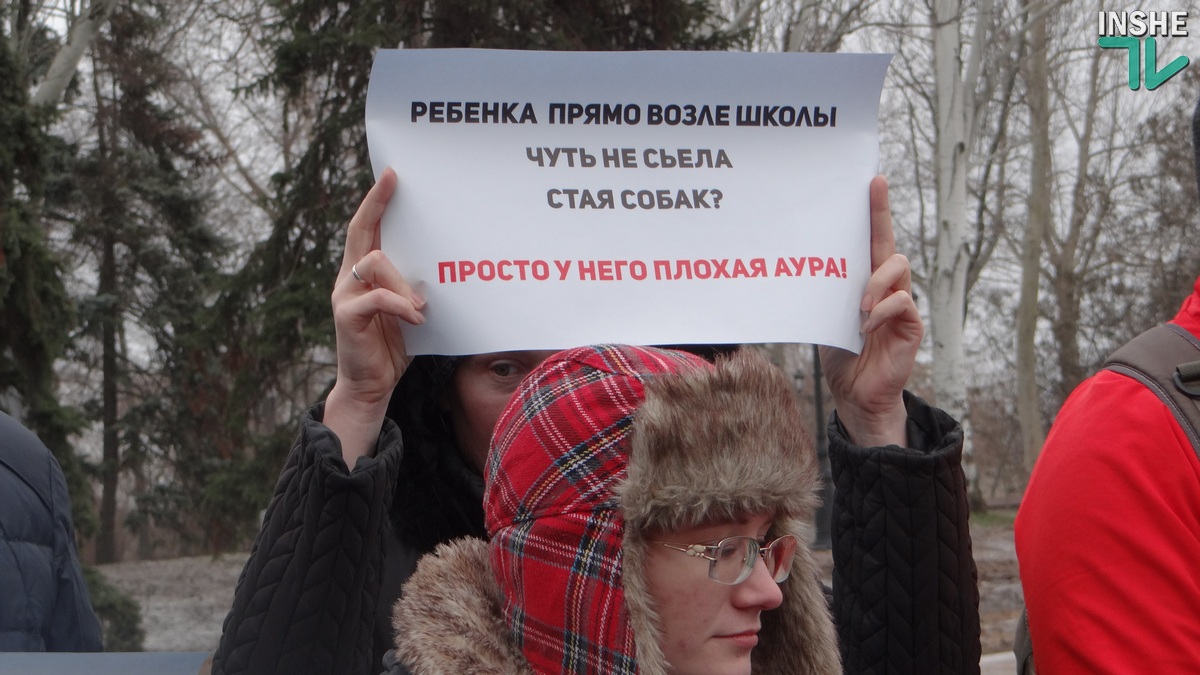 За город без укушенных. В Николаеве пострадавшие от укусов бездомных собак требовали гарантий безопасности