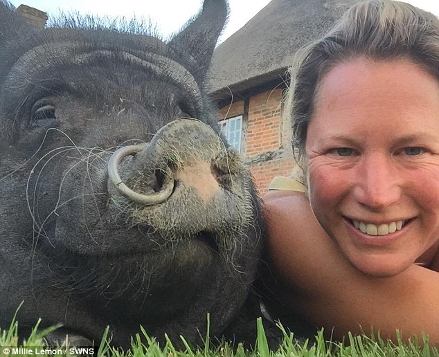 Английская семья приютила свинью-беглянку – теперь она живет в доме и вымахала до 127 кг 11