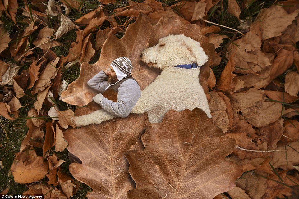 Американец стал хитом Instagram после того, как он превратил свою собаку в семифутового гиганта в серии странных фотографий, снятых в Photoshop 11