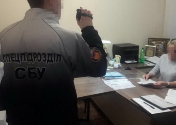 В Николаевской области задержали начальницу управления юстиции