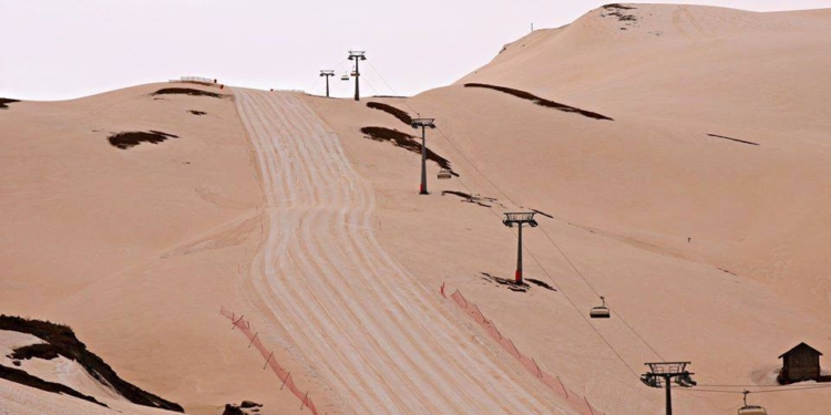 До Грузии добрался оранжевый снег