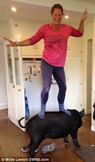 Английская семья приютила свинью-беглянку – теперь она живет в доме и вымахала до 127 кг 15