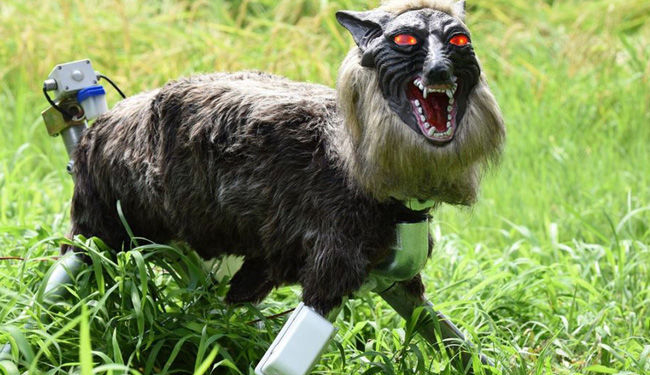 Японцы создали робота-волка – отпугивать диких кабанов от полей. Успешно