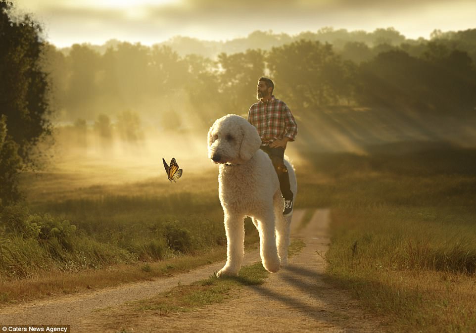 Американец стал хитом Instagram после того, как он превратил свою собаку в семифутового гиганта в серии странных фотографий, снятых в Photoshop 17