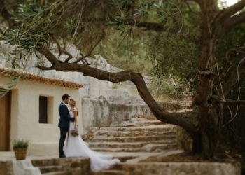 В Германии 500-летний дуб “устроил” уже 100 свадеб